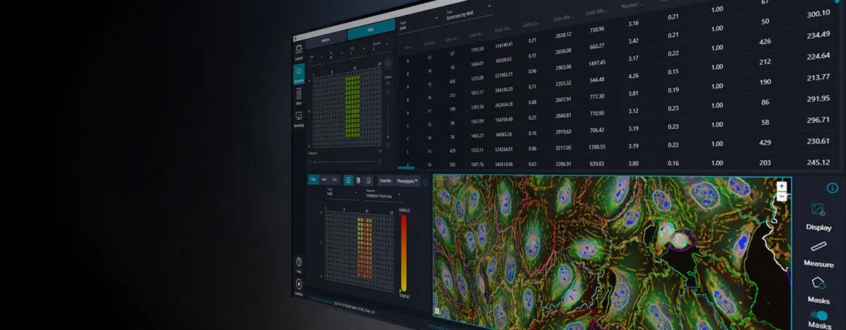 dashboard marketing reale